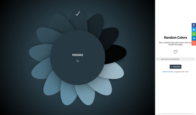 Random colors by Hex color