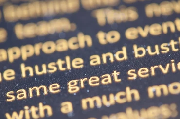 What the ipsum!?