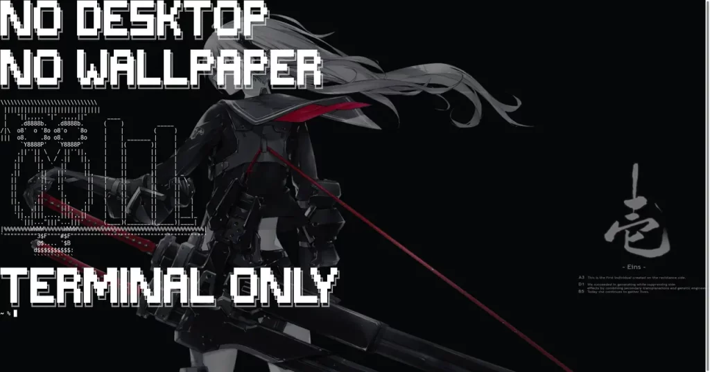 My friend's ascii-art wallpaper.